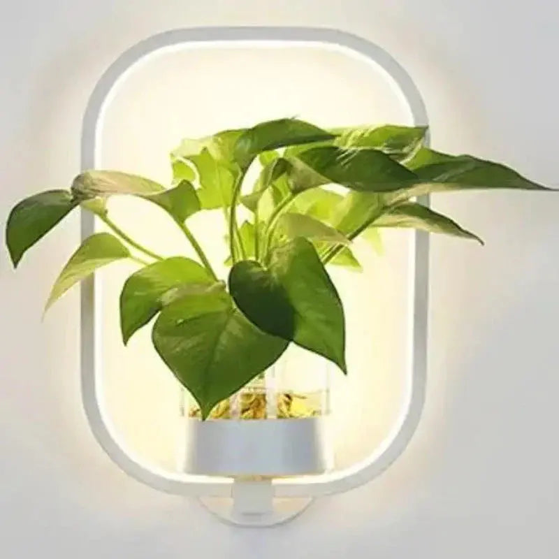 Zendoo | Wandleuchte mit Pflanzgefäß Zendoo.de