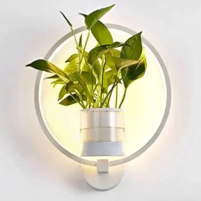 Zendoo | Wandleuchte mit Pflanzgefäß Zendoo.de