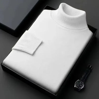 Alwin | Warmer Rollkragenpullover
