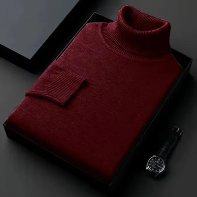 Alwin | Warmer Rollkragenpullover