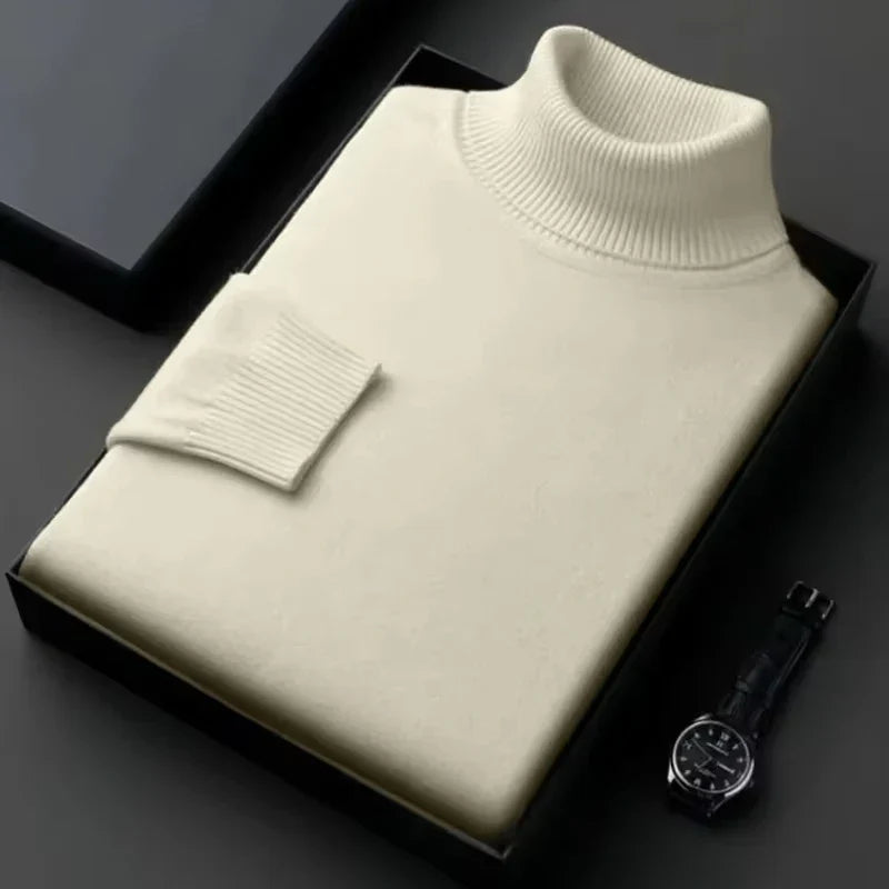 Alwin | Warmer Rollkragenpullover
